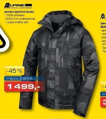 pánská lyžařská bunda ALPINE