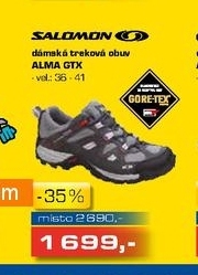 dámská treková obuv SALOMON ALMA GTX