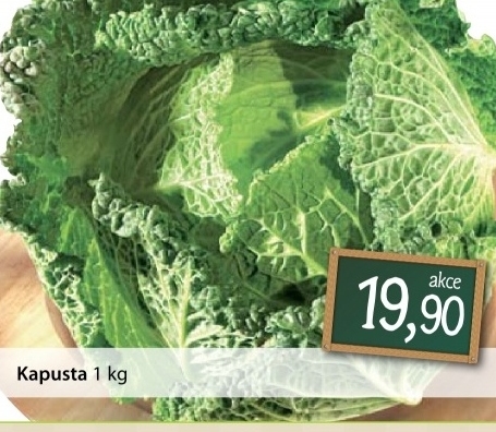 Kapusta hlavkova