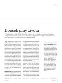 akční leták dm drogerie 29.5.2015-25.6.2015