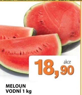 Meloun vodni
