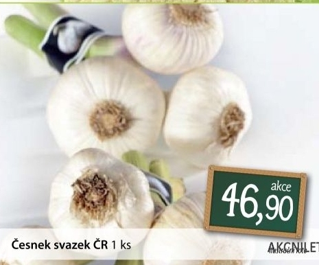 Cesnek cerstvy svazek