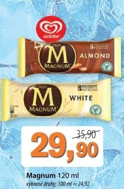 Nanuk magnum algida