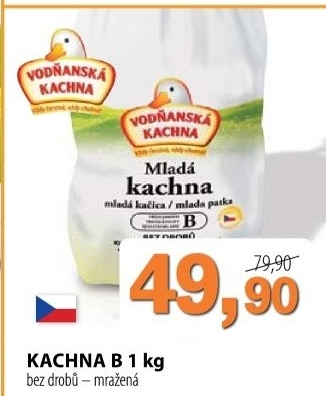 Kachna mrazena vodnanska kachna