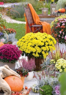 akční leták Hornbach 10.8.2015-31.10.2015