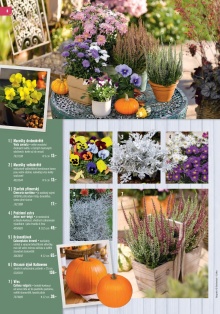 akční leták Hornbach 10.8.2015-31.10.2015