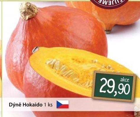 Dyne hokkaido