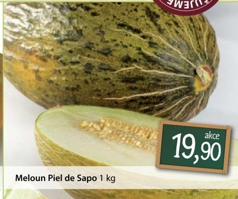 Meloun piel de sapo