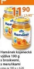 Presnidavka ovocna hamanek