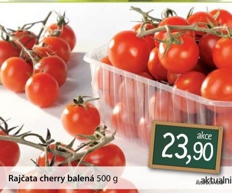 Rajcata cherry