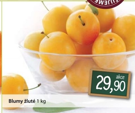 Blumy zlute