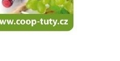 Vino rulandske modre rose templarske sklepy cejkovice