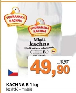 Kachna mrazena vodnanska kachna