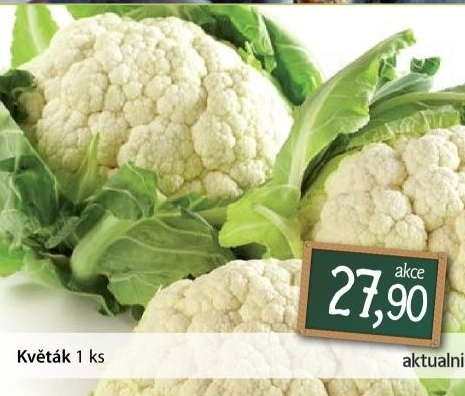 Kvetak