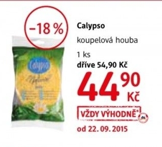 Houba koupelova calypso