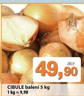 Cibule kuchynska zluta