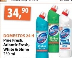 Cistic wc gelovy domestos