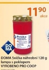 Svicka hrbitovni s vickem doma