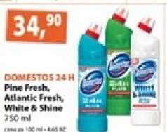 Cistic wc gelovy domestos