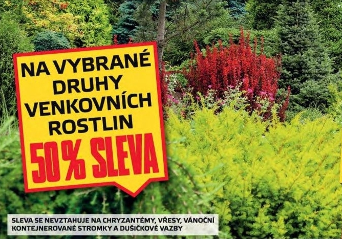 Vybrané venkovní rostliny