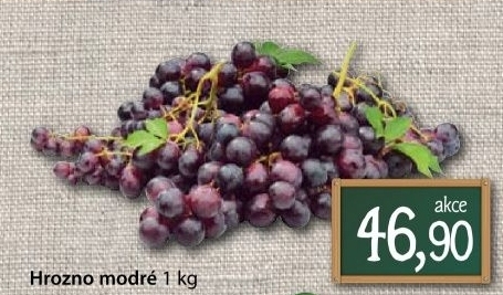 Hrozny modre