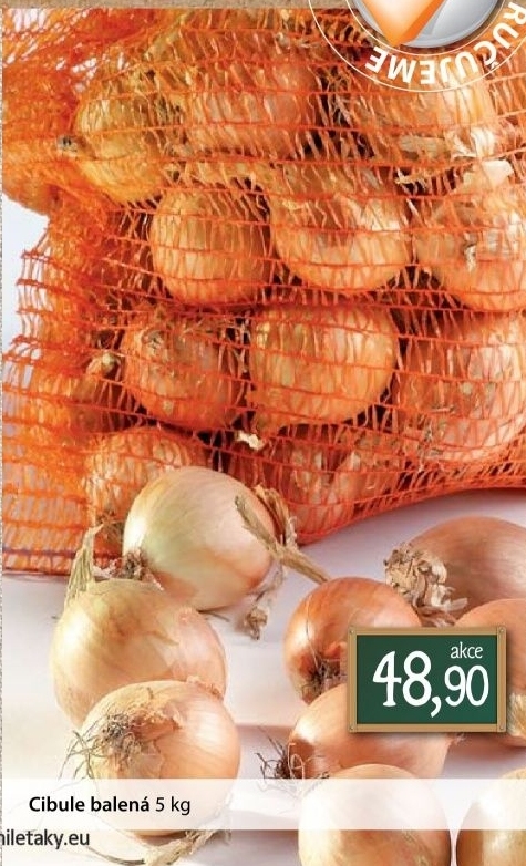 Cibule balena