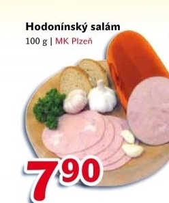 Salam hodoninsky schneider