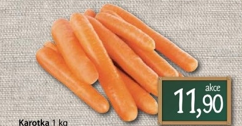 Karotka
