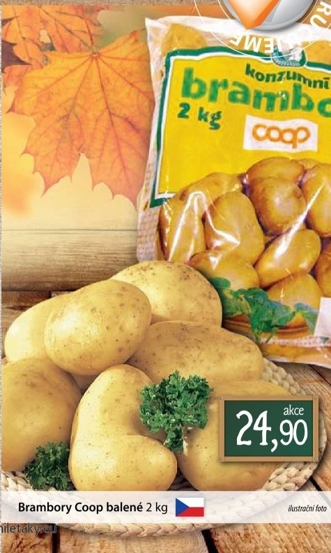 Brambory konzumni coop