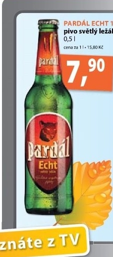Pivo svetly lezak 11 echt pardal