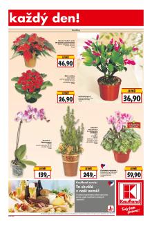akční leták Kaufland 12.11.2015-18.11.2015