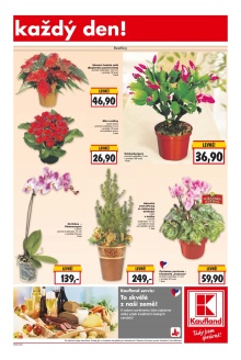 akční leták Kaufland 12.11.2015-18.11.2015