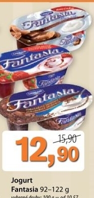 Dezert fantasia danone