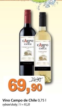 Vino campo de chile