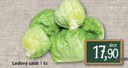 Salat ledovy
