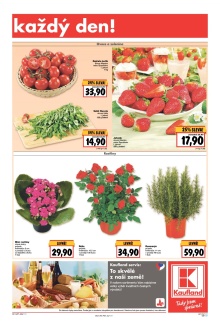 akční leták Kaufland 21.1.2016-27.1.2016