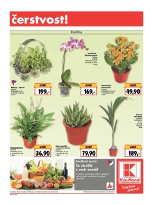 akční leták Kaufland 28.1.2016-3.2.2016