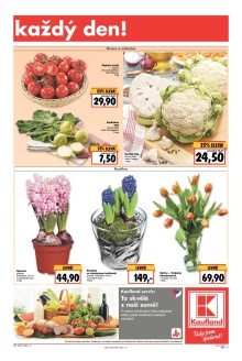 akční leták Kaufland 11.2.2016-17.2.2016