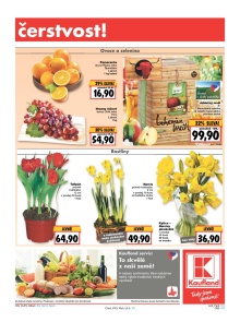 akční leták Kaufland 18.2.2016-24.2.2016