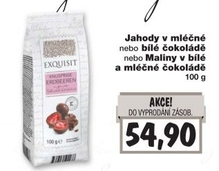 Jahody v čokoládě Exquisit