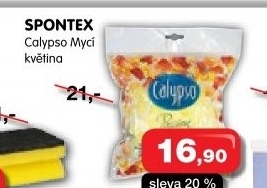 Houba koupelová Calypso