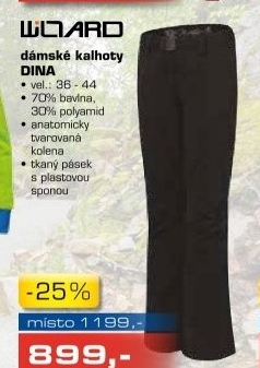 DINA