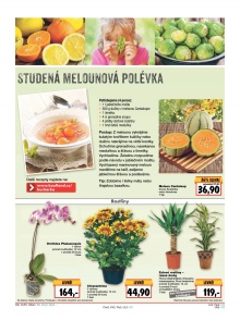 akční leták Kaufland 14.4.2016-20.4.2016