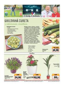 akční leták Kaufland 19.5.2016-25.5.2016