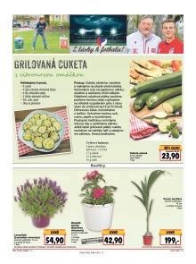 akční leták Kaufland 19.5.2016-25.5.2016