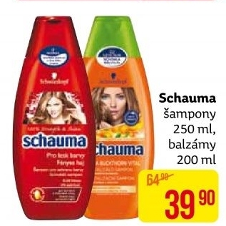 Šampon Schauma Schwarzkopf