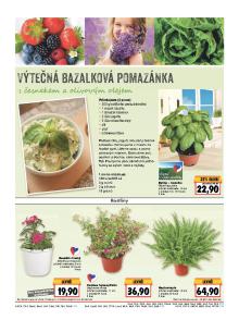 akční leták Kaufland 2.6.2016-8.6.2016
