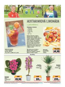 akční leták Kaufland 16.6.2016-22.6.2016