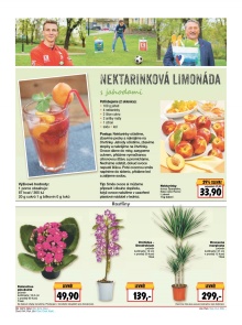 akční leták Kaufland 16.6.2016-22.6.2016
