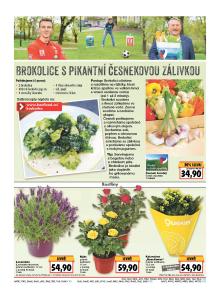 akční leták Kaufland 23.6.2016-29.6.2016